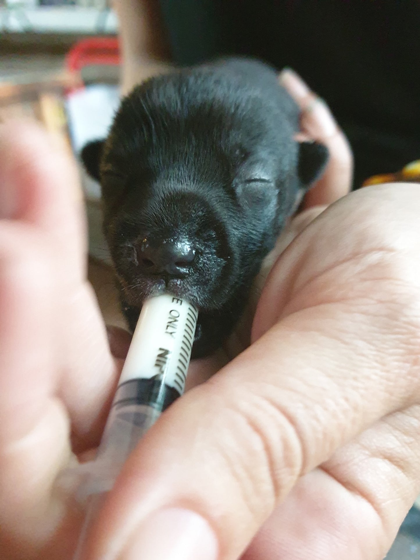 จ่าสิบเอก