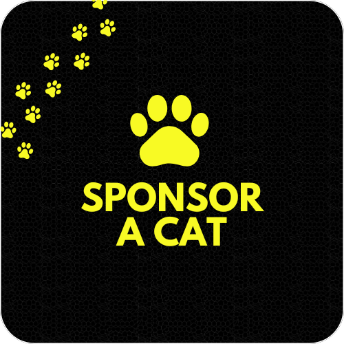 Sponsor a Cat