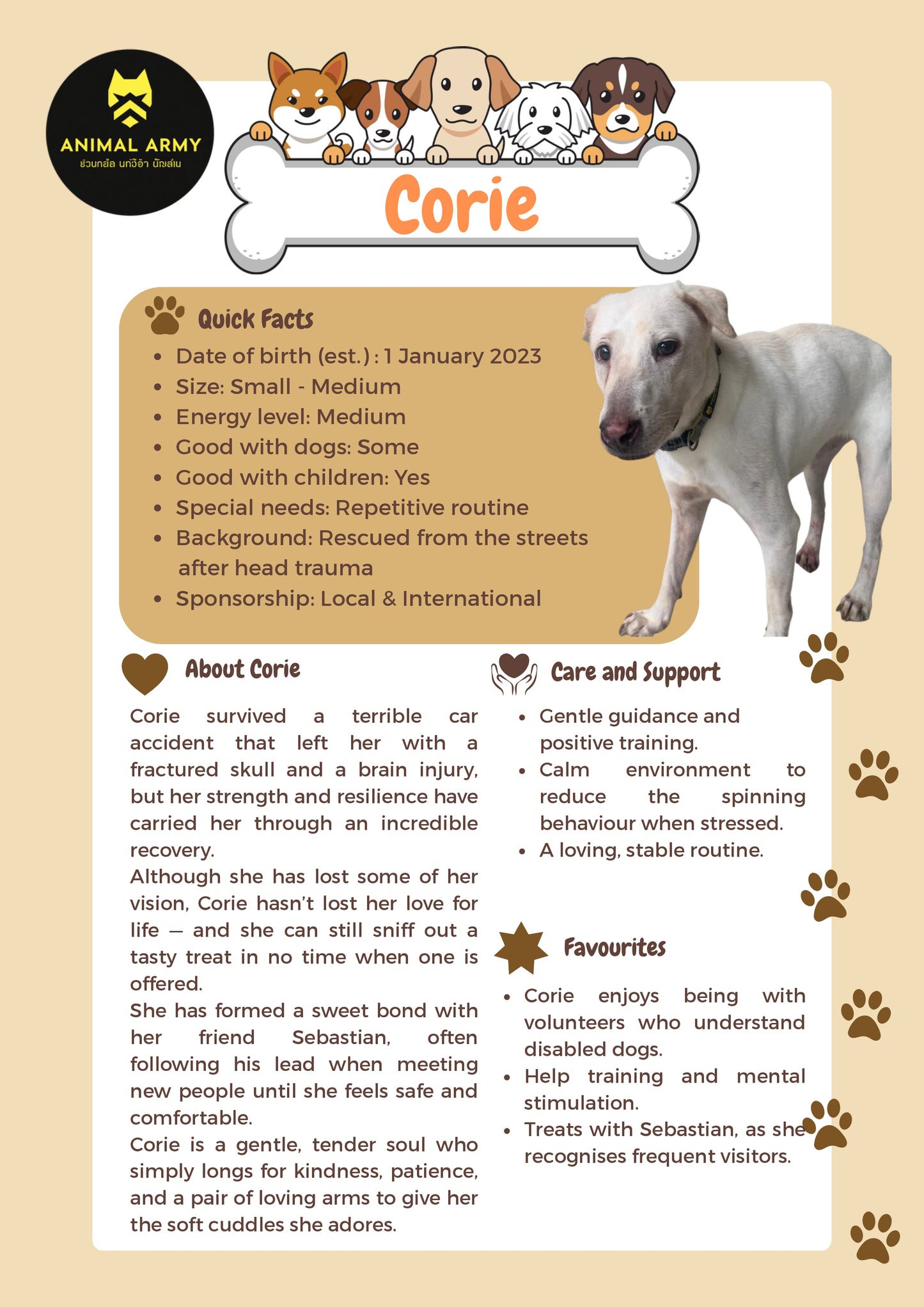 Sponsor Corie