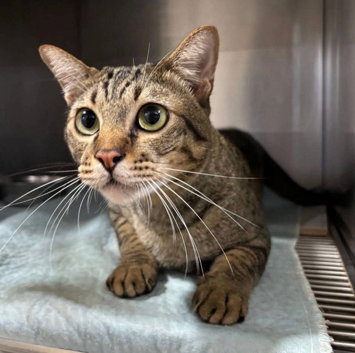 จ่าสิบเอก