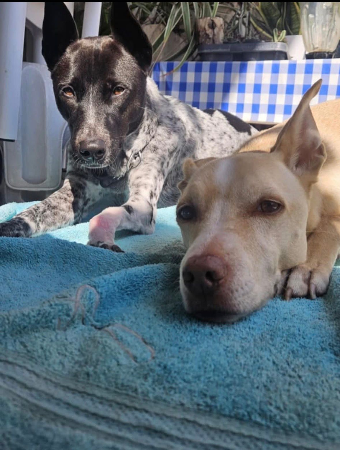 จ่าสิบเอก