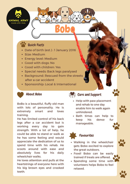 Sponsor Bobo
