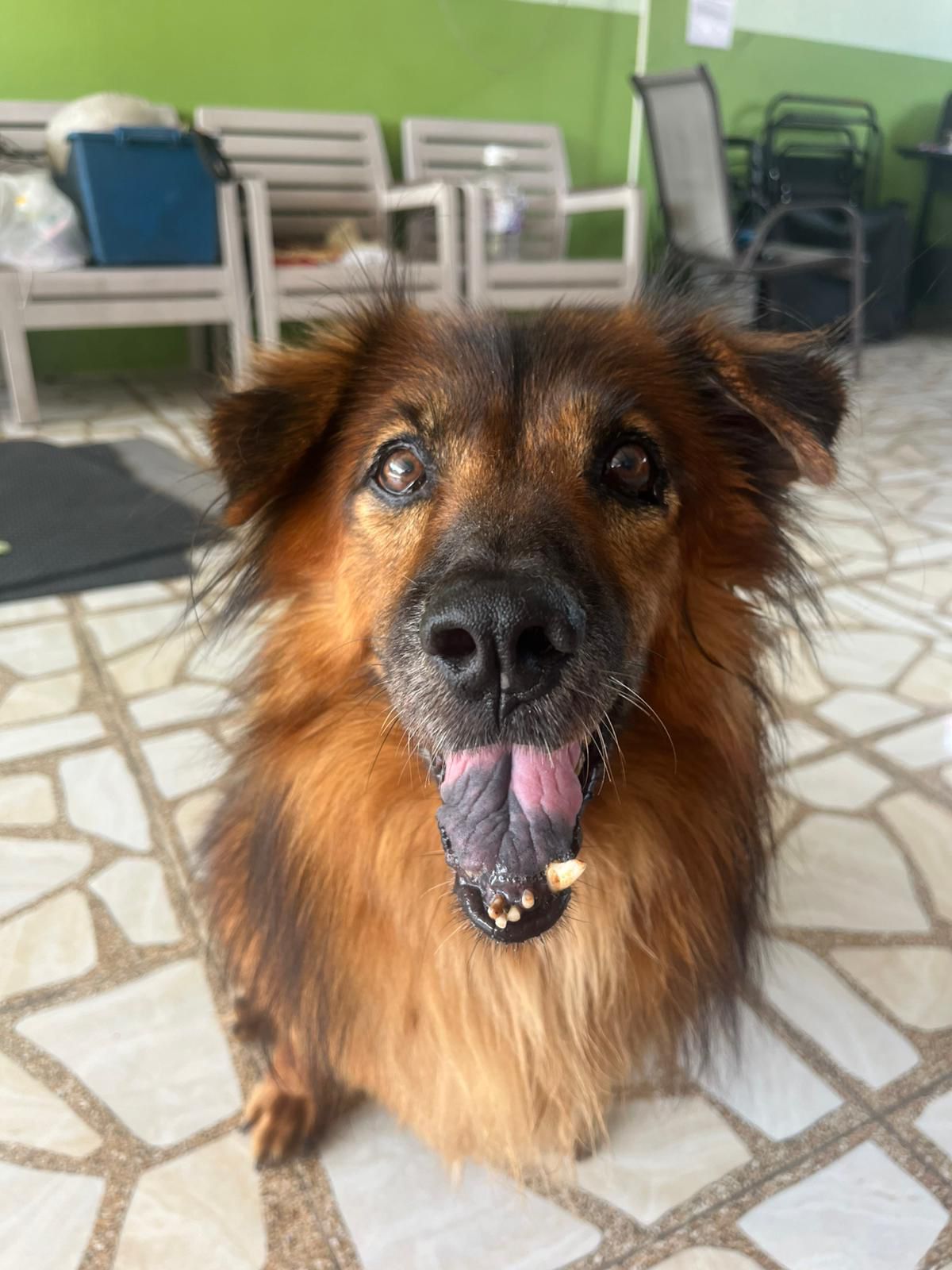 Sponsor Bobo