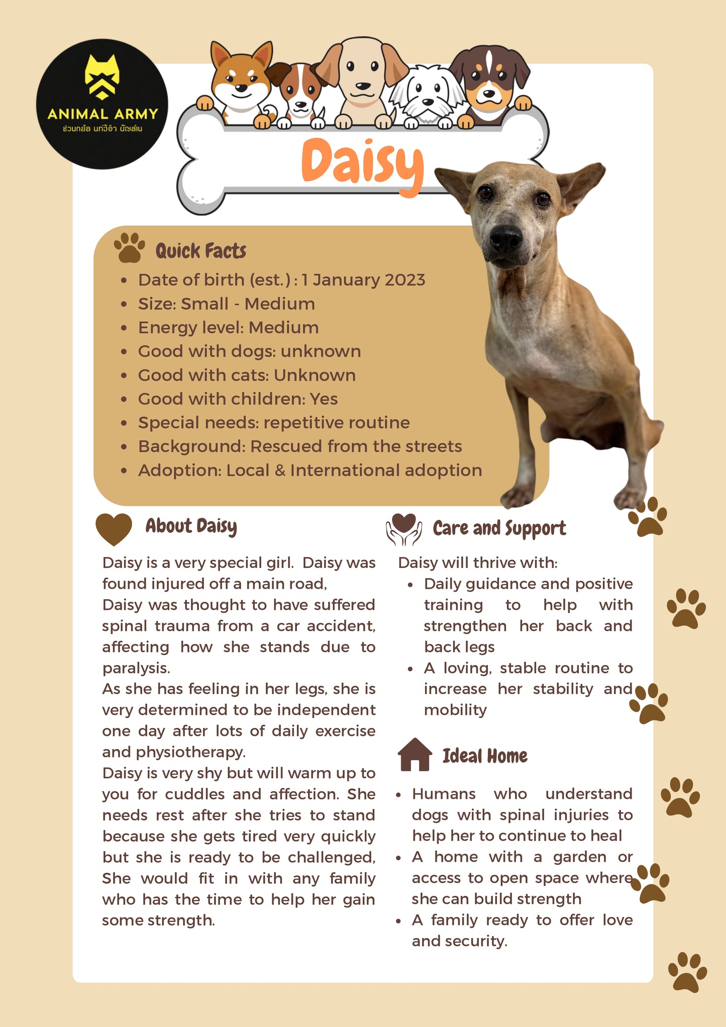 Sponsor Daisy