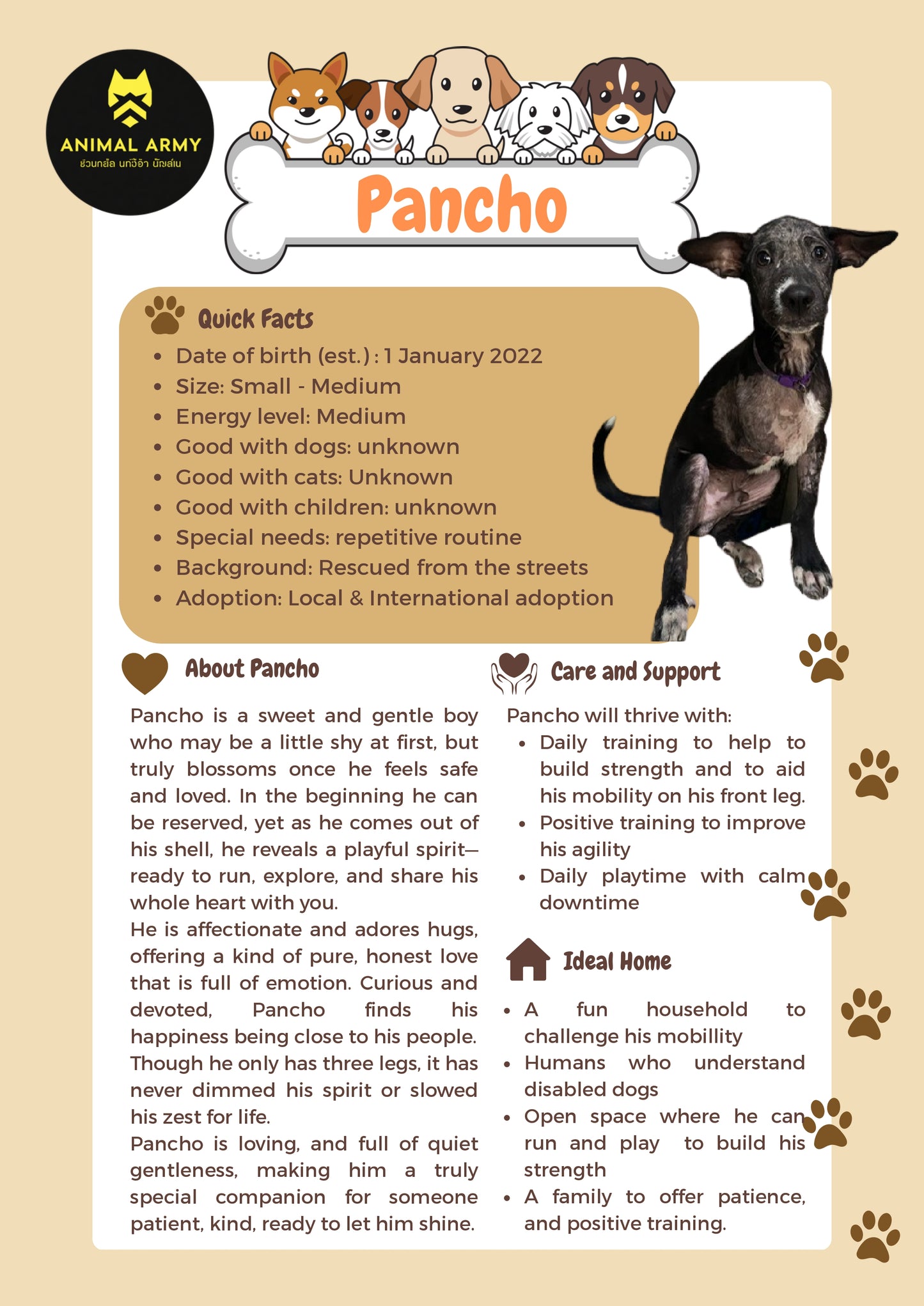 Sponsor Pancho